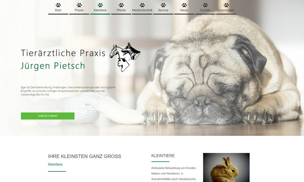 Referenz: Website tierarztpraxis-pietsch.de/index.php/praxis